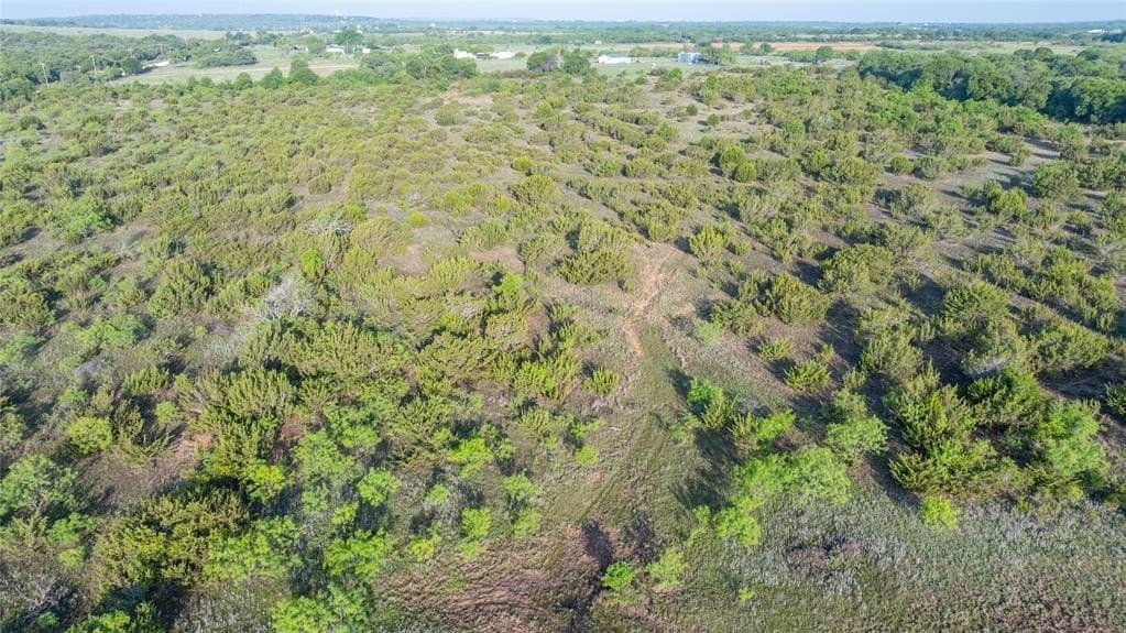 14.48 acres in Callahan County gallery image 2