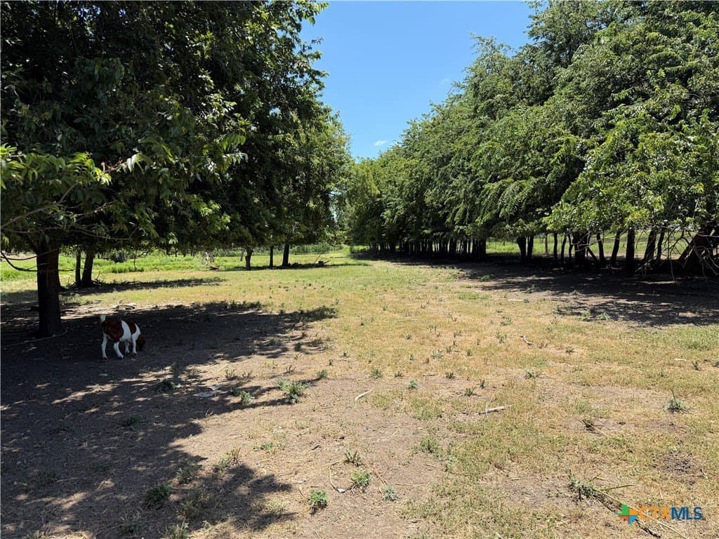 1.16 acres in Williamson County - photo 6
