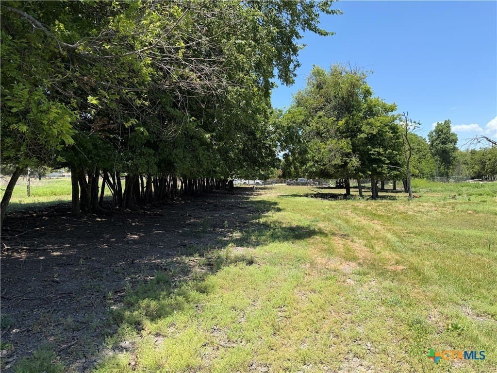1.16 acres in Williamson County gallery image 4