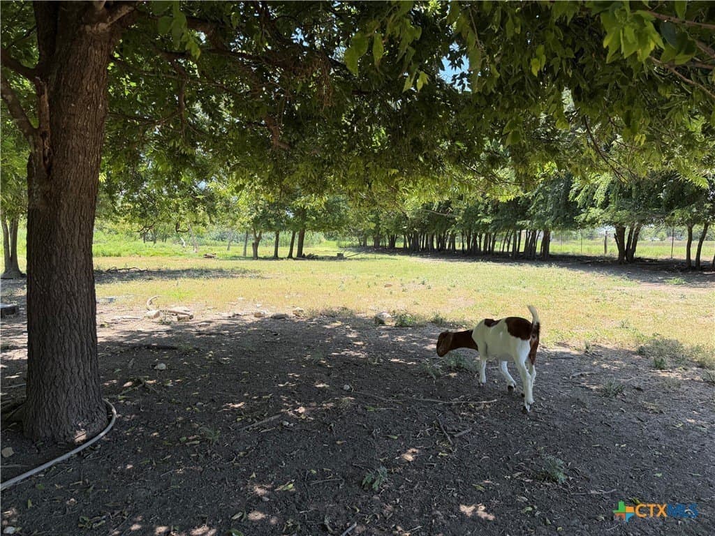 1.16 acres in Williamson County - photo 10