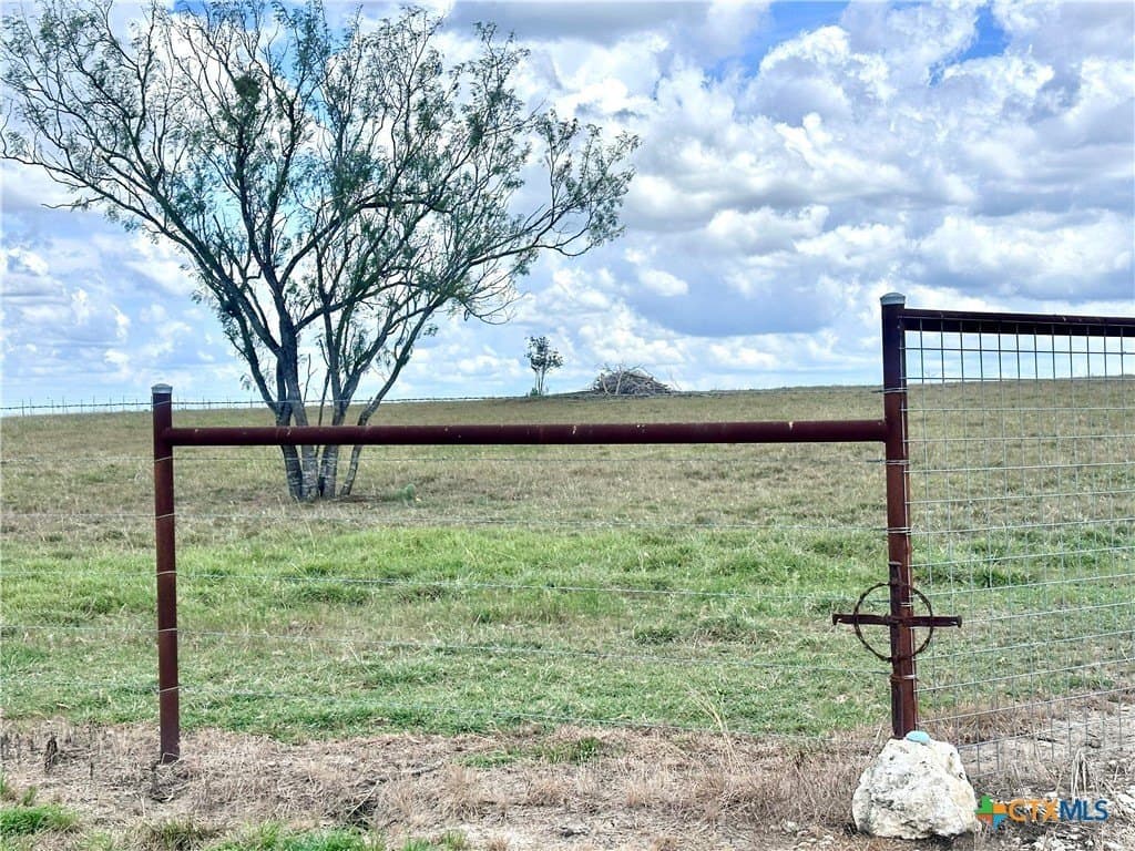 11 acres in Wilson County gallery image 2