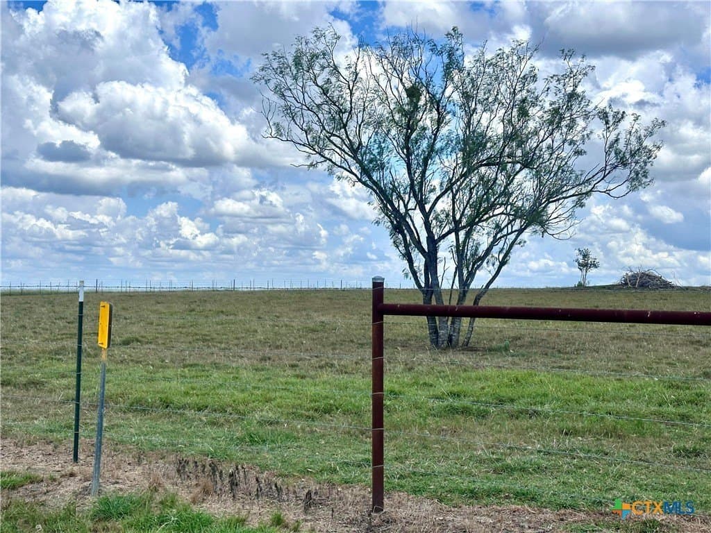 11 acres in Wilson County gallery image 4