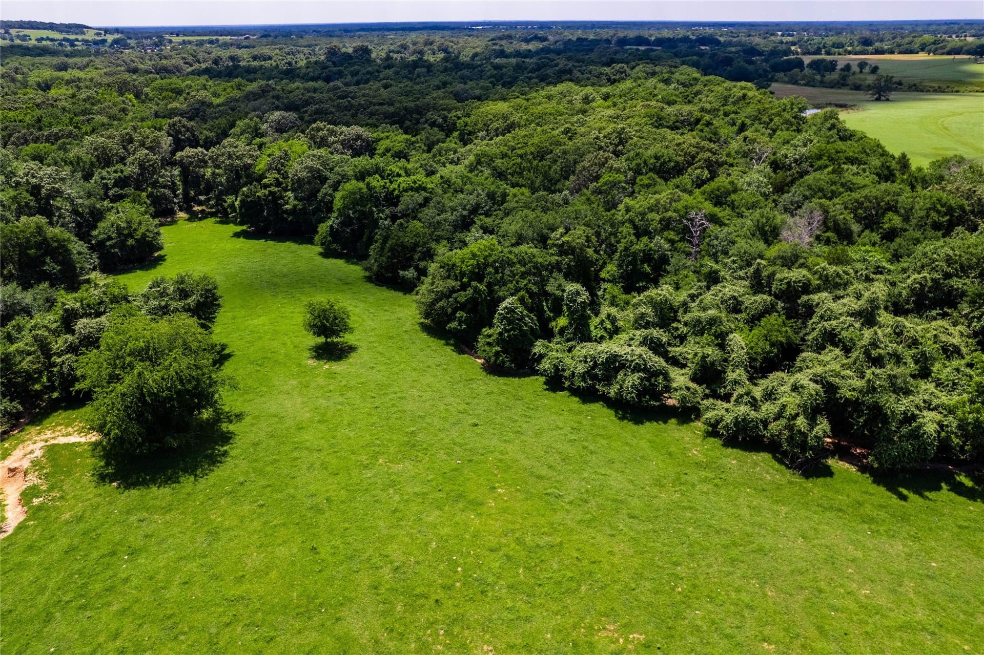 50.03 acres in Henderson County - photo 10