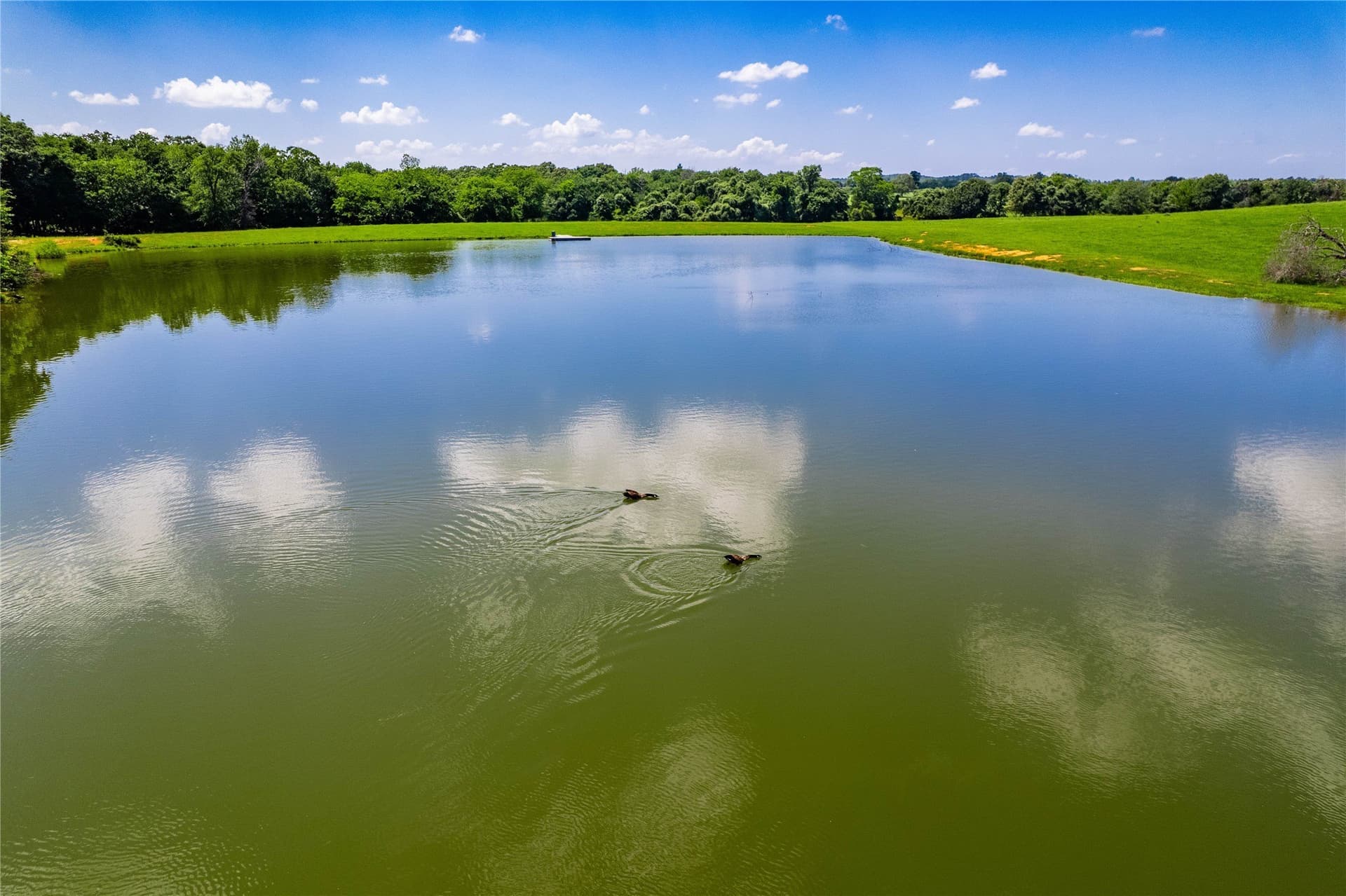 50.03 acres in Henderson County - photo 5