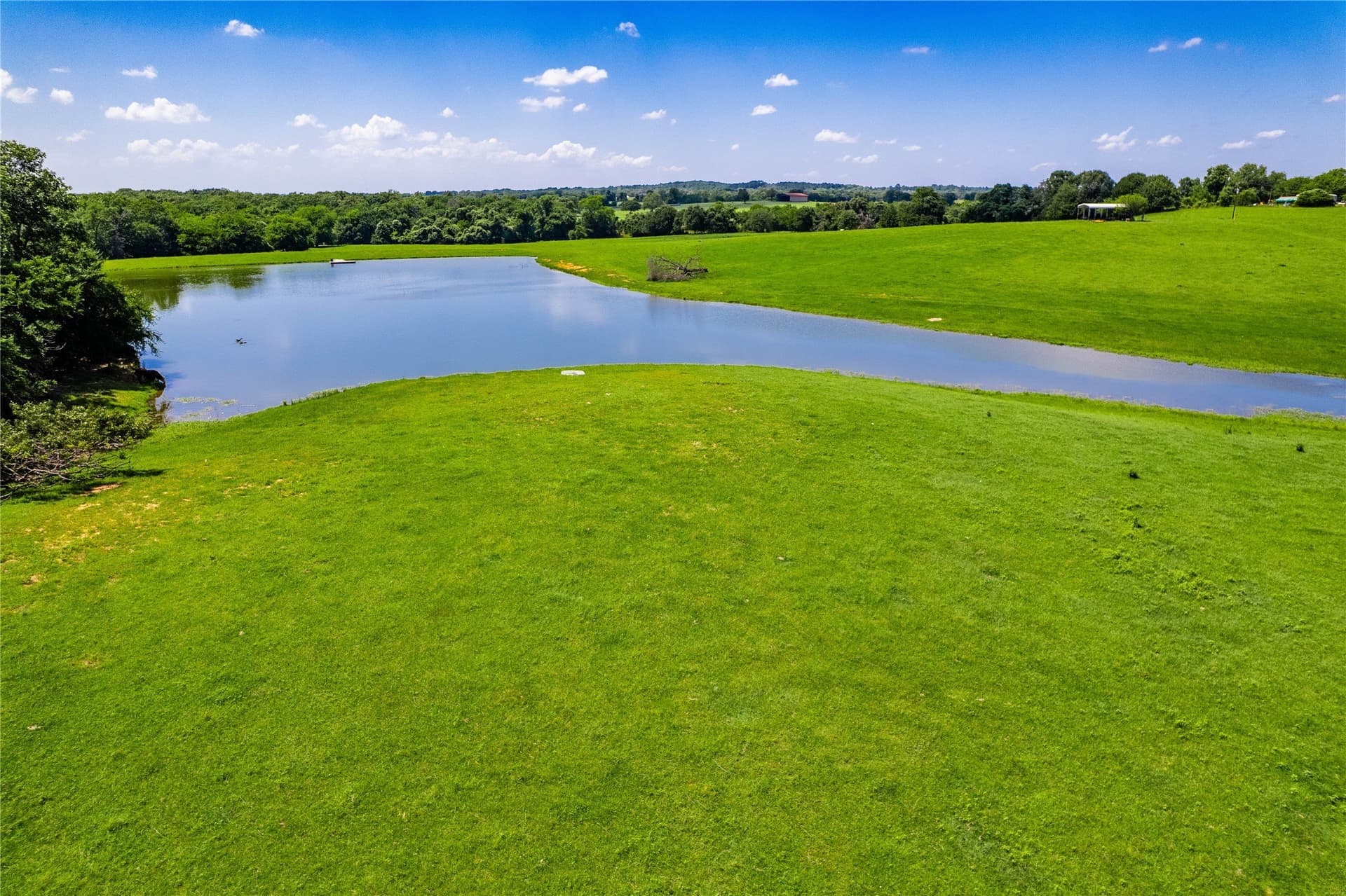 50.03 acres in Henderson County - photo 6