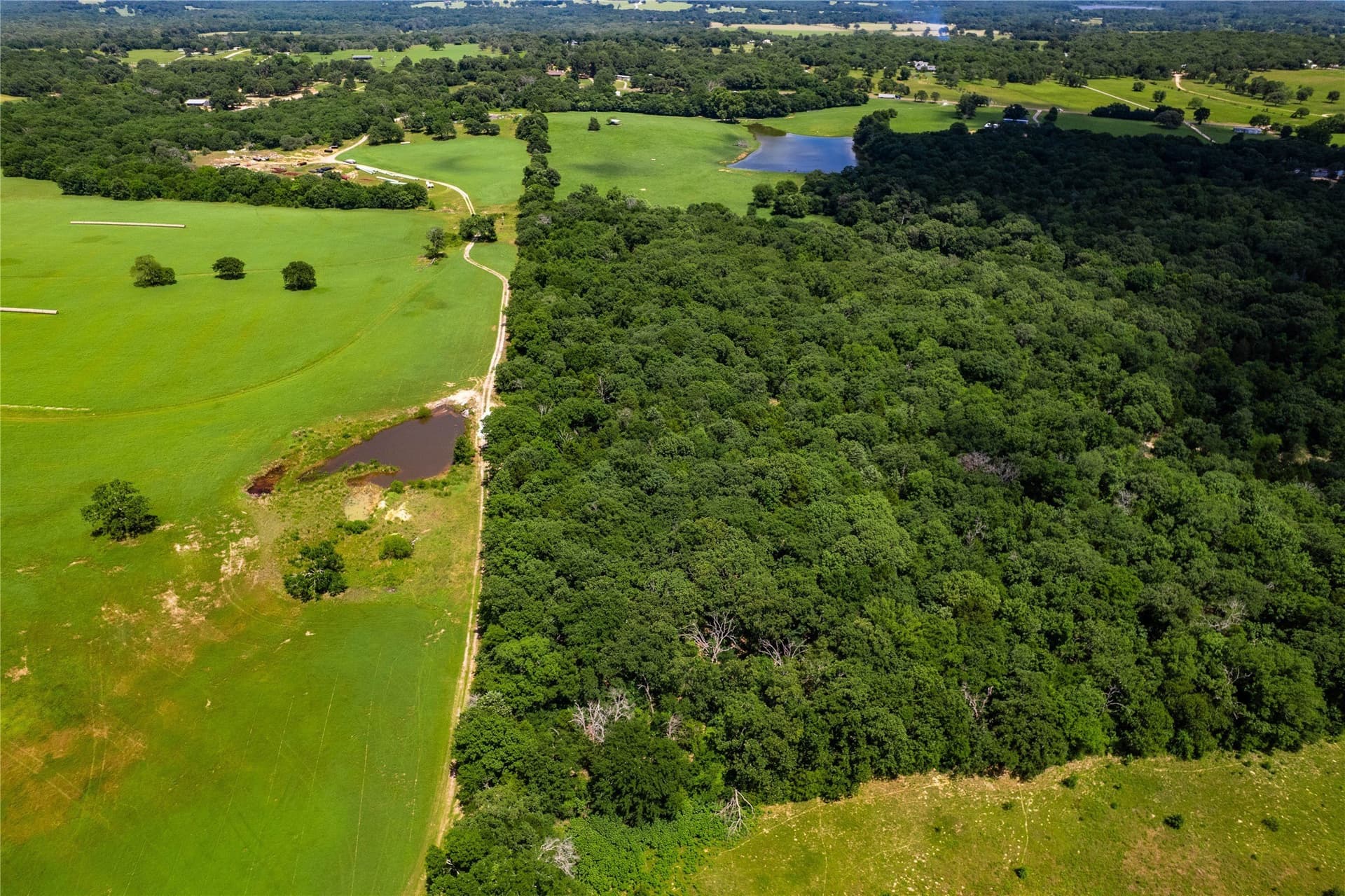 50.03 acres in Henderson County - photo 12
