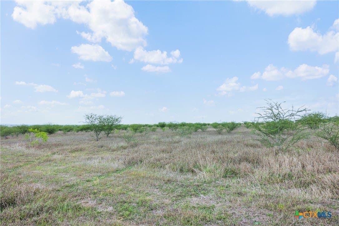 10.01 acres in DeWitt County featured view