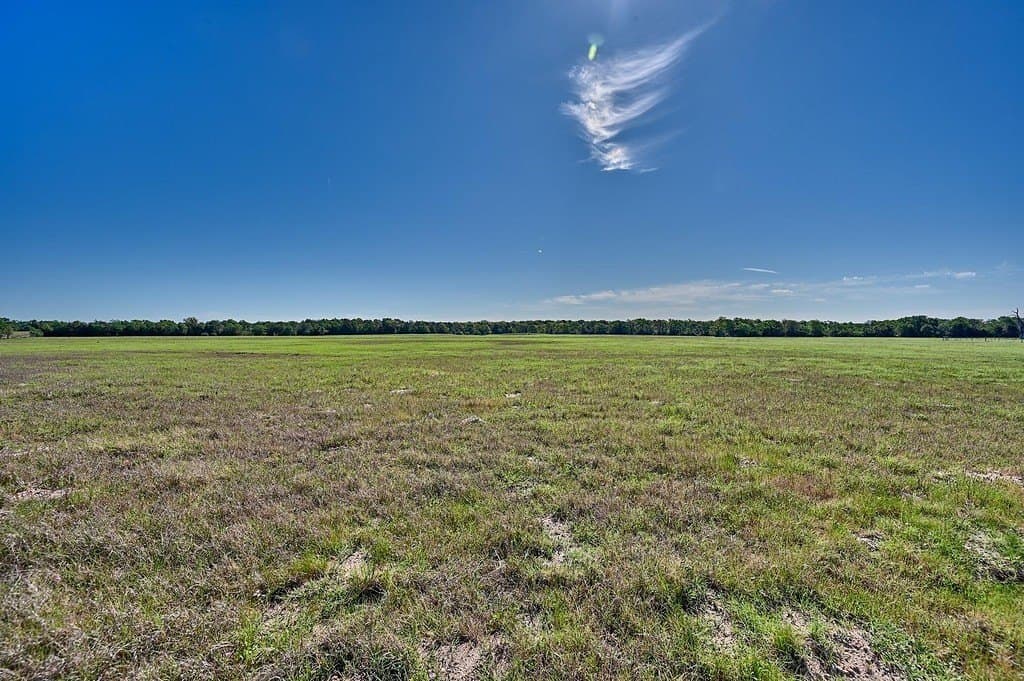 20 acres in Limestone County - photo 6