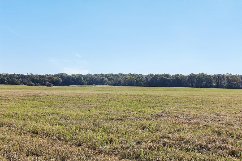 20 acres in Limestone County gallery image 3