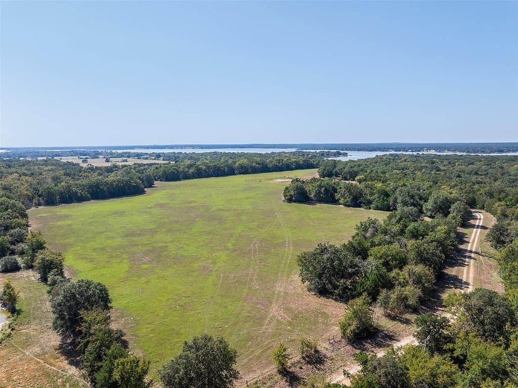 20 acres in Limestone County gallery image 4