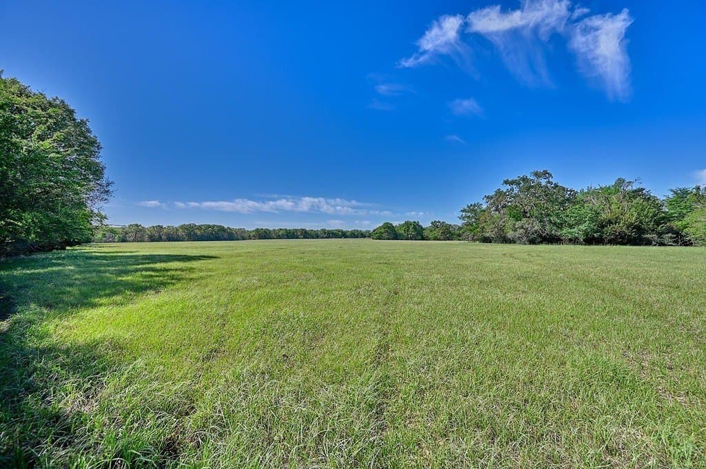 20 acres in Limestone County - photo 7