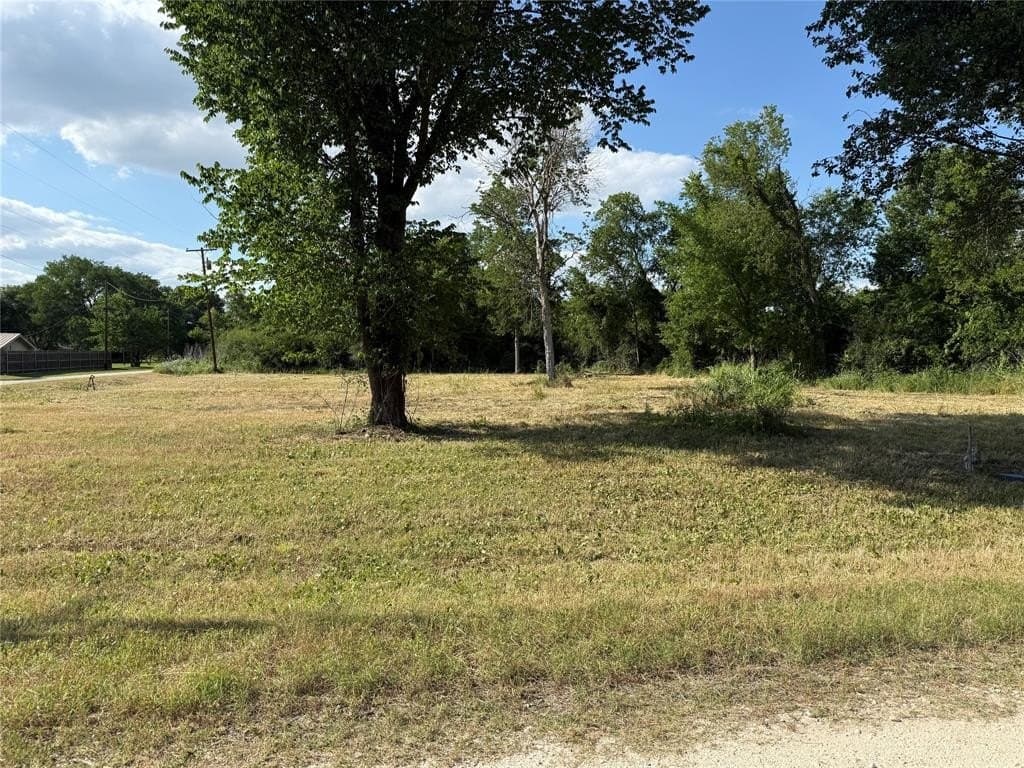 0.32 acres in Freestone County gallery image 3