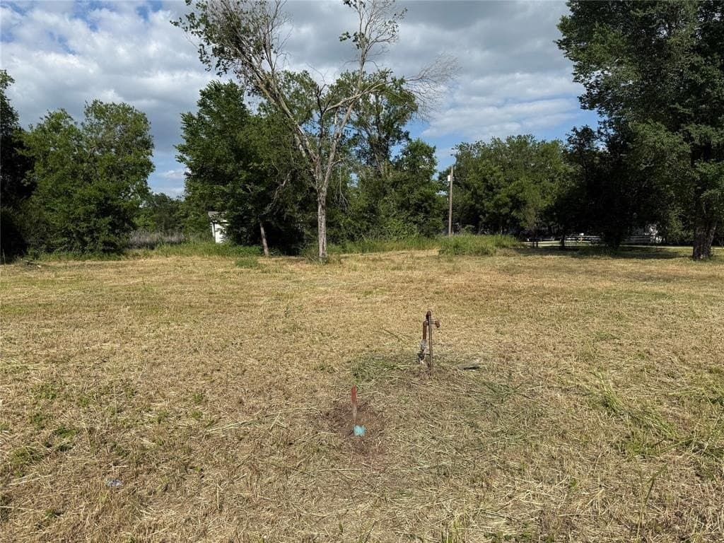 0.32 acres in Freestone County gallery image 4