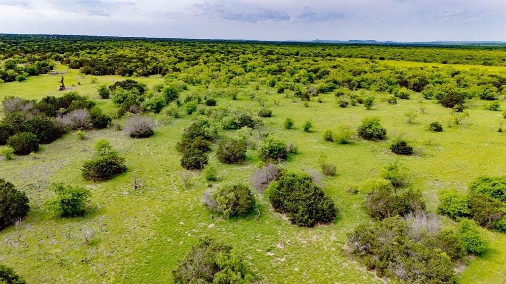 51.17 acres in Palo Pinto County gallery image 2