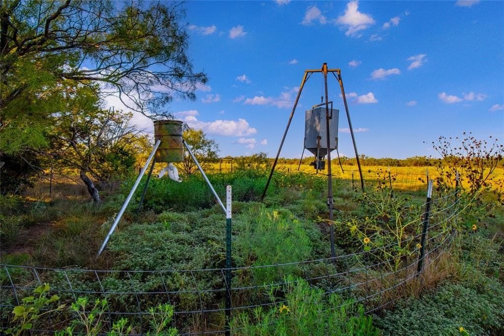 51.17 acres in Palo Pinto County gallery image 4