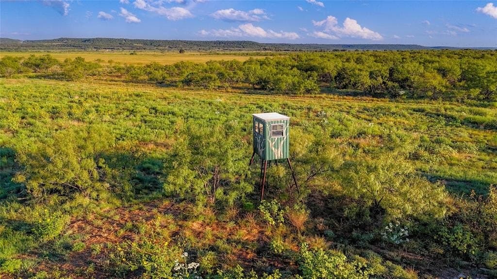 51.17 acres in Palo Pinto County gallery image 3