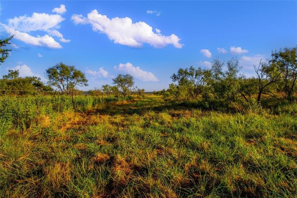 51.17 acres in Palo Pinto County featured view