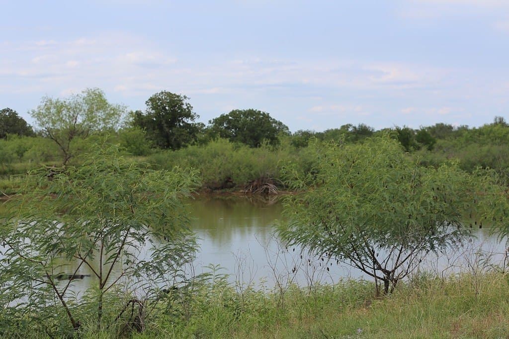 25 acres in Gonzales County