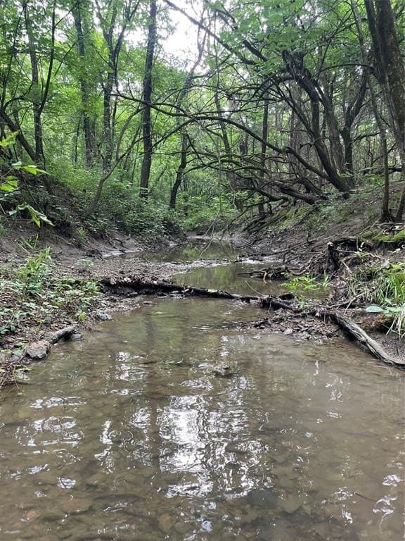 23 acres in Fannin County featured view