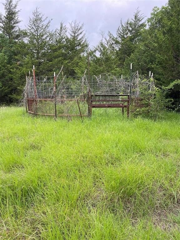23 acres in Fannin County gallery image 3