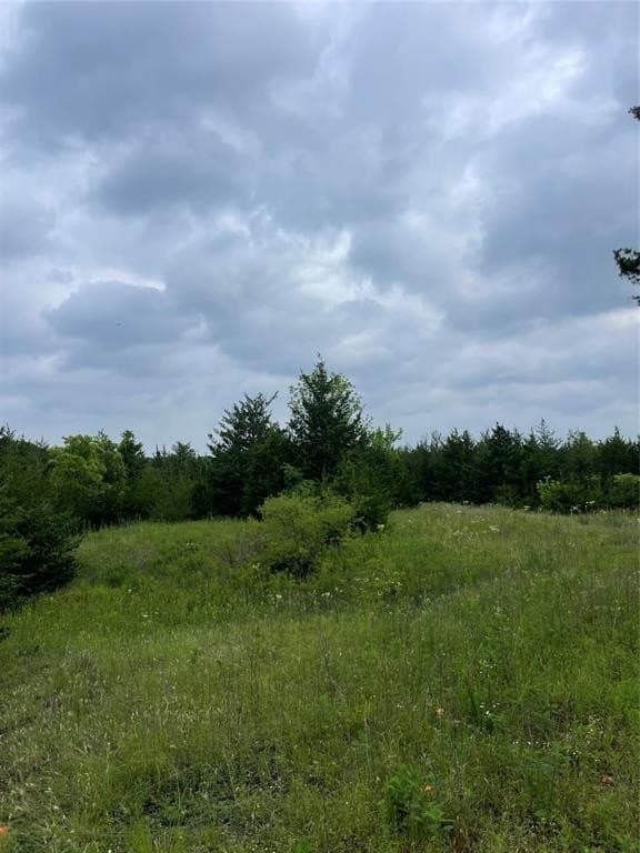 23 acres in Fannin County