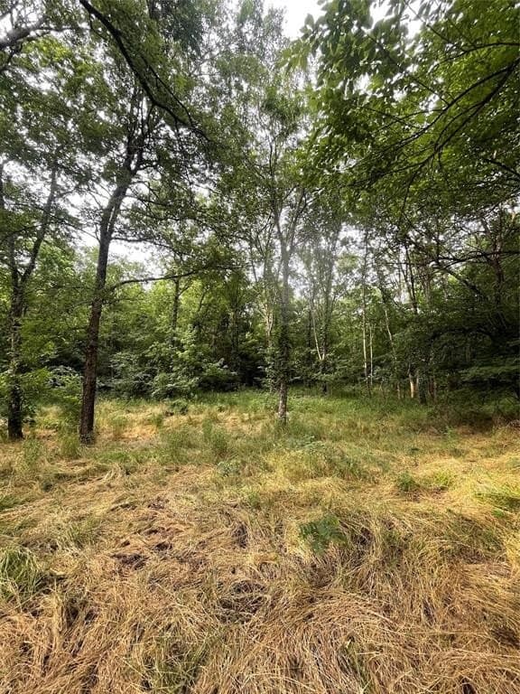 23 acres in Fannin County gallery image 4