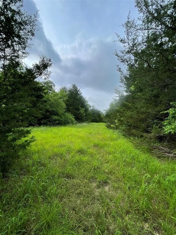 23 acres in Fannin County gallery image 2