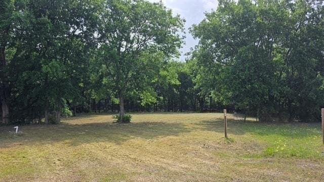 3.73 acres in Fannin County gallery image 4