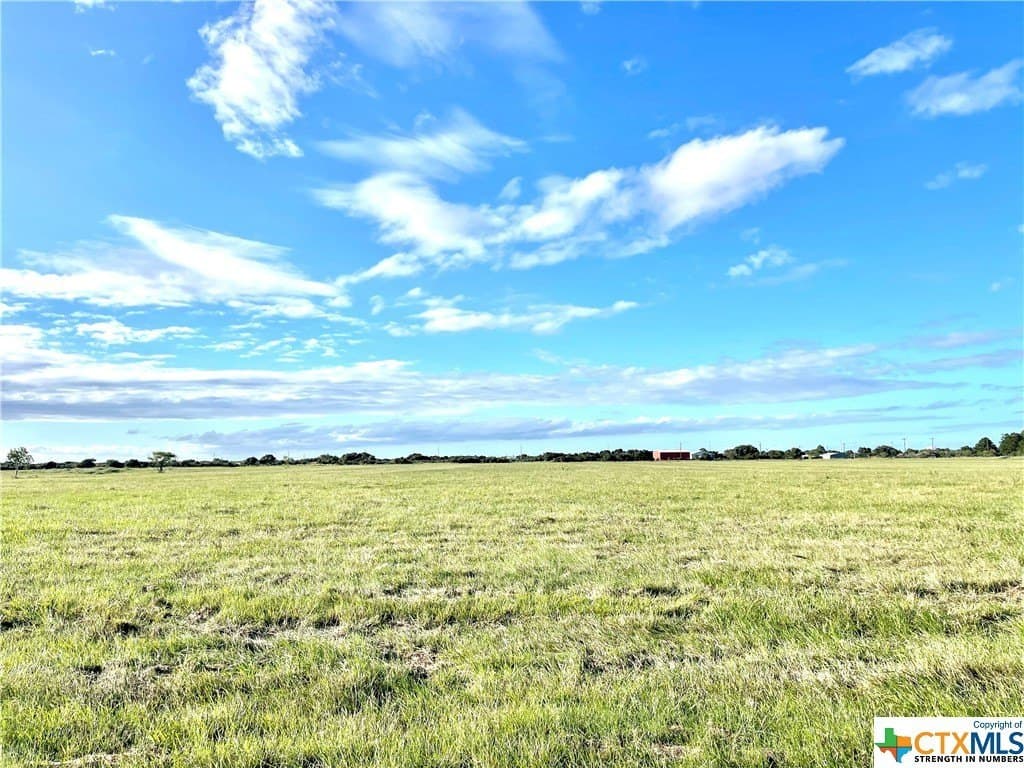 10 acres in Calhoun County gallery image 2