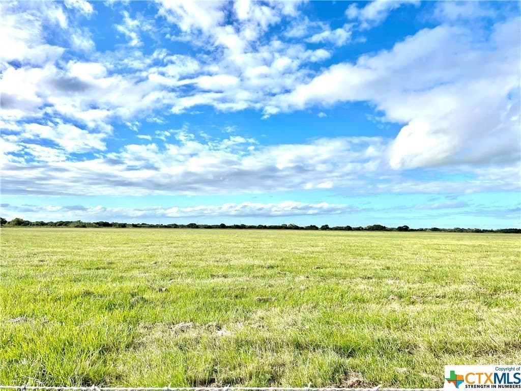 10 acres in Calhoun County gallery image 3