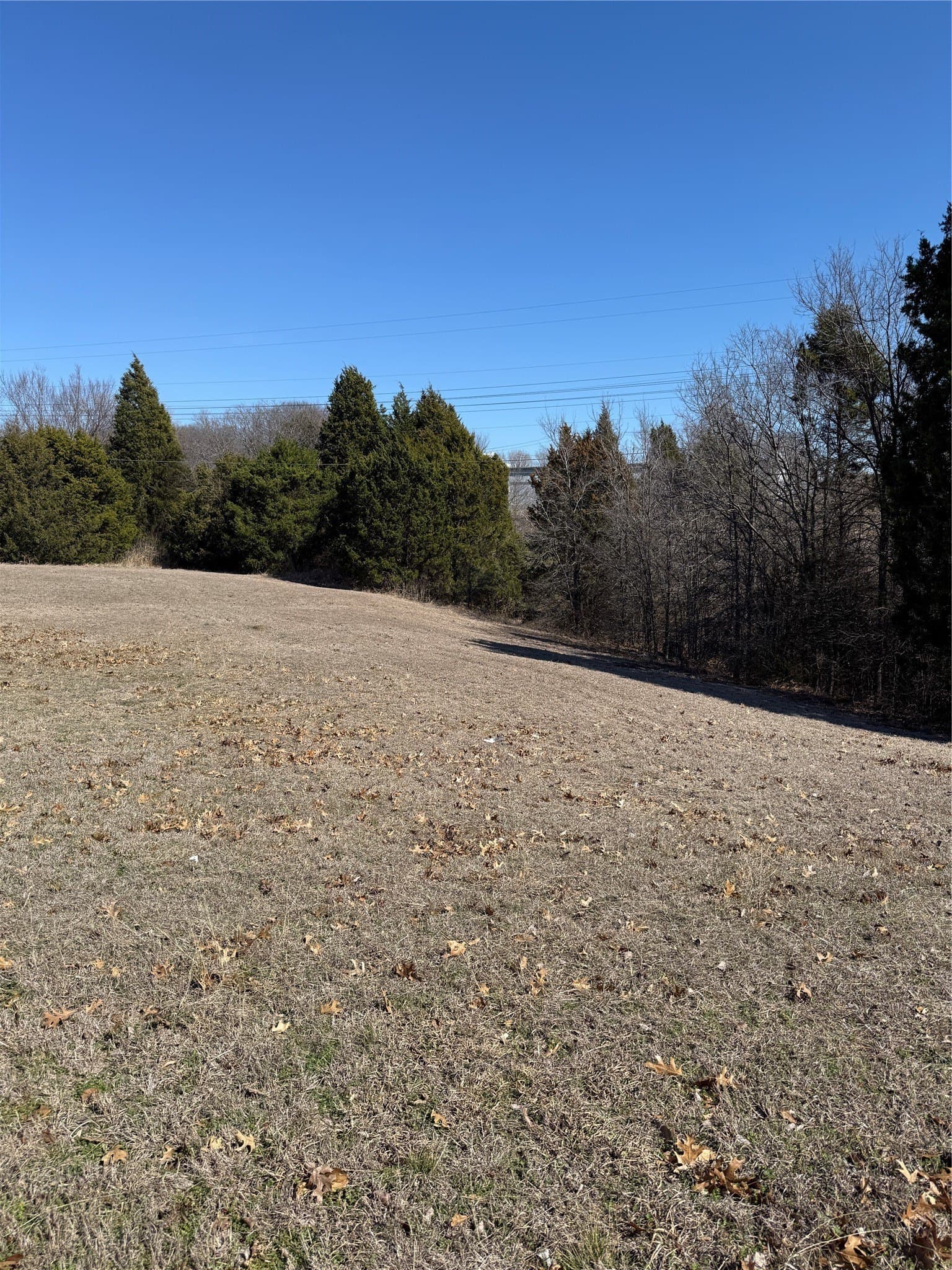 1.07 acres in Dallas County gallery image 4