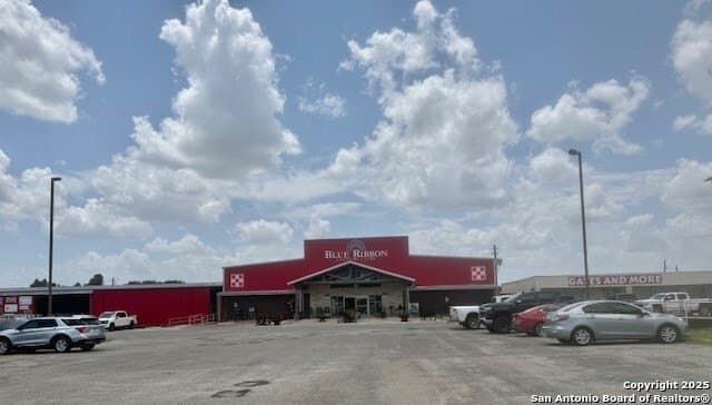3 acres in Bee County gallery image 4