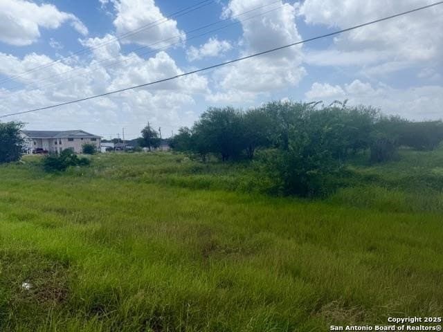 3 acres in Bee County gallery image 2