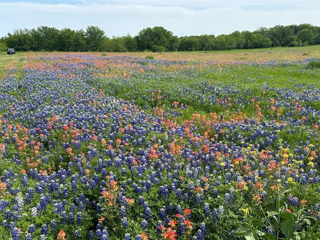 5.61 acres in Ellis County featured view
