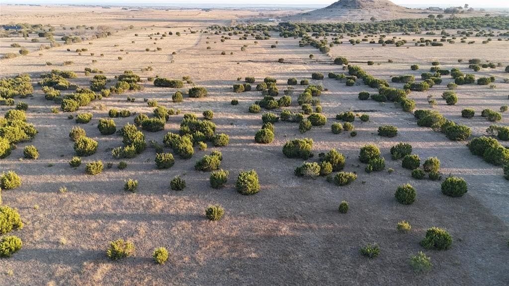 11 acres in Bosque County gallery image 2