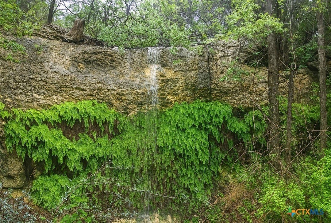 20 acres in Travis County featured view