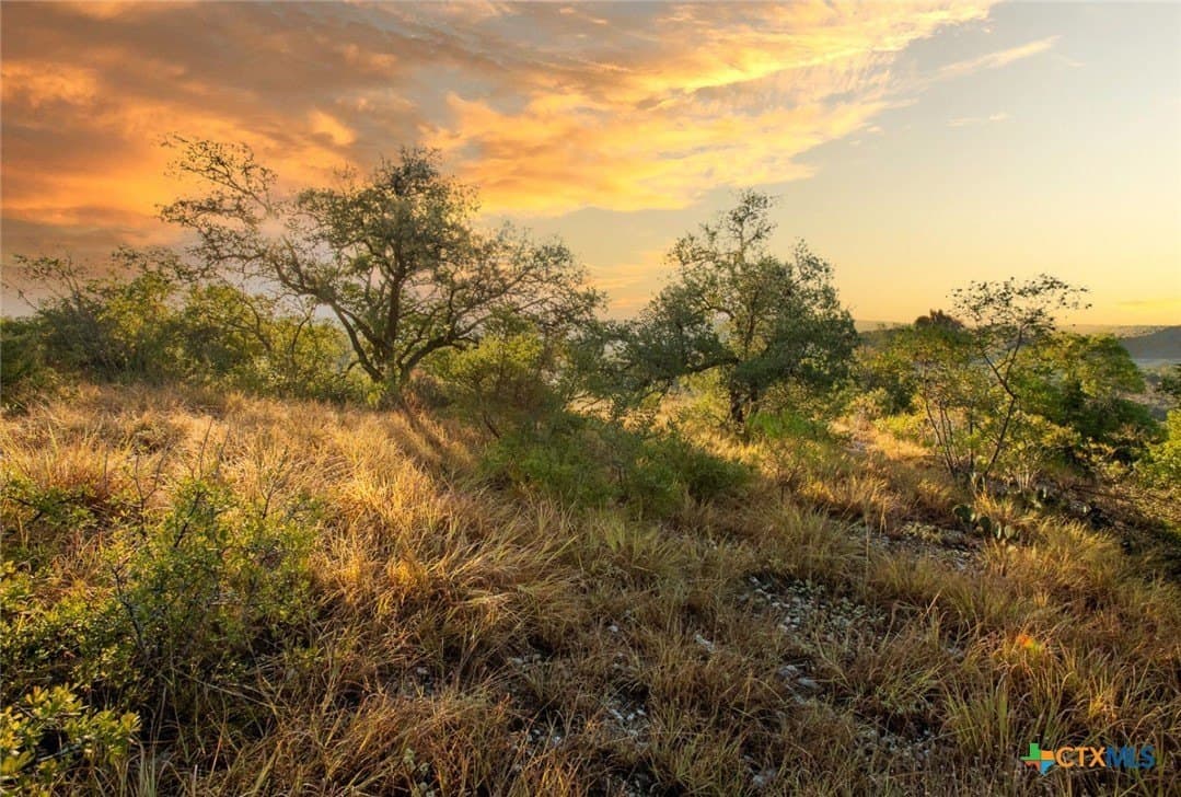 20 acres in Travis County gallery image 4