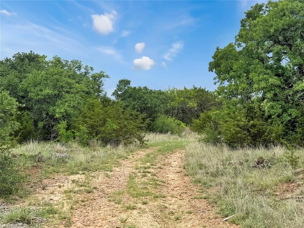11.76 acres in Erath County gallery image 4