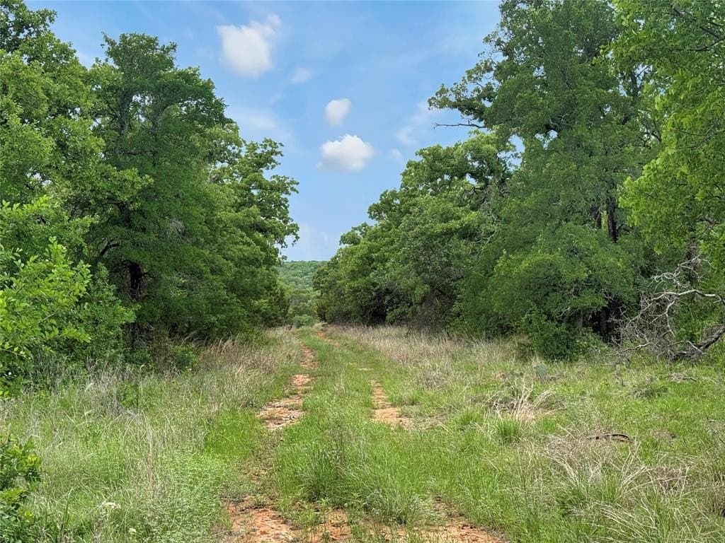 11.76 acres in Erath County gallery image 2