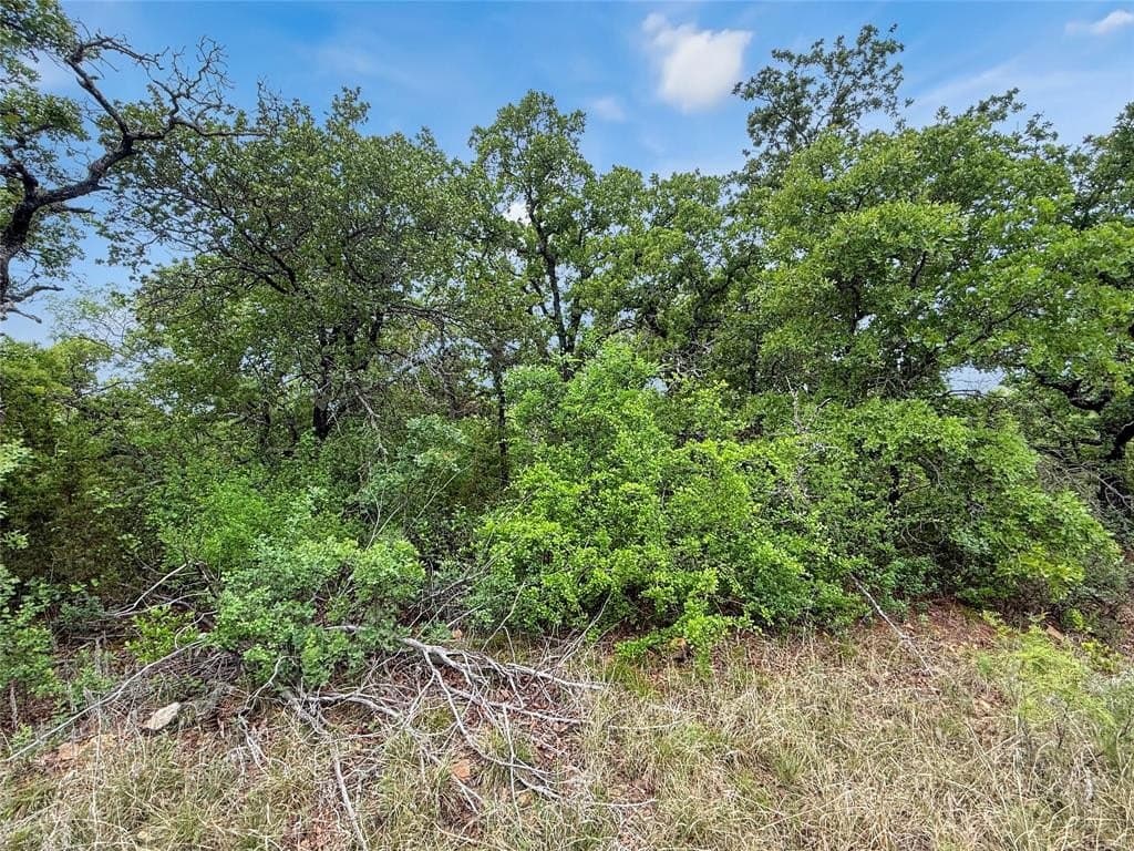 11.76 acres in Erath County gallery image 3