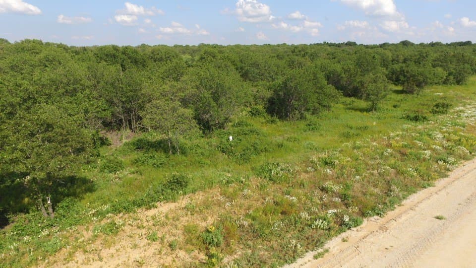 5.03 acres in Jack County - photo 6