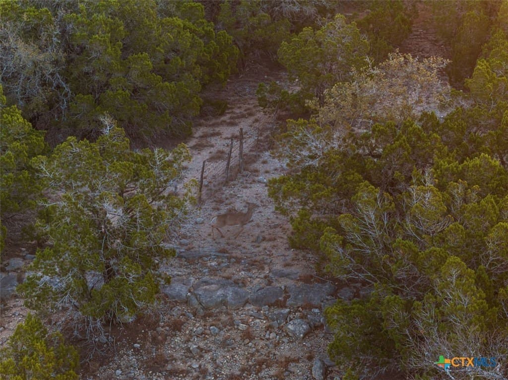 10 acres in Blanco County - photo 8