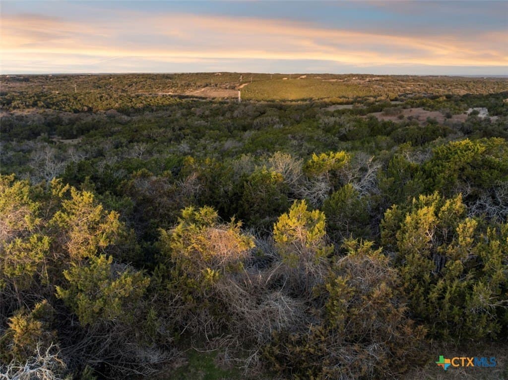 10 acres in Blanco County - photo 9