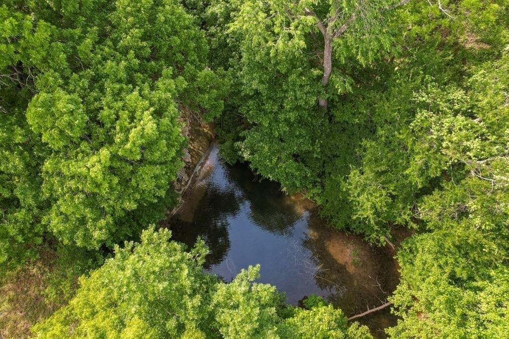 41 acres in Ellis County featured view