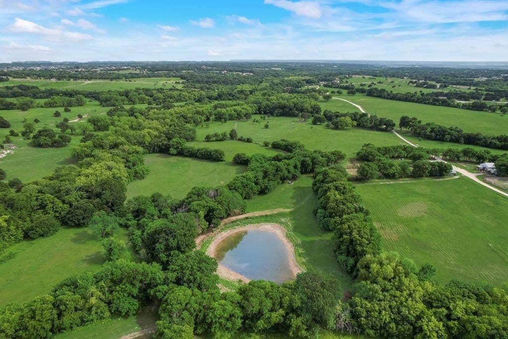 41 acres in Ellis County gallery image 4