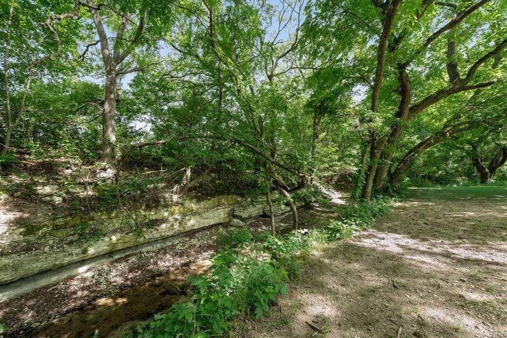 41 acres in Ellis County gallery image 3