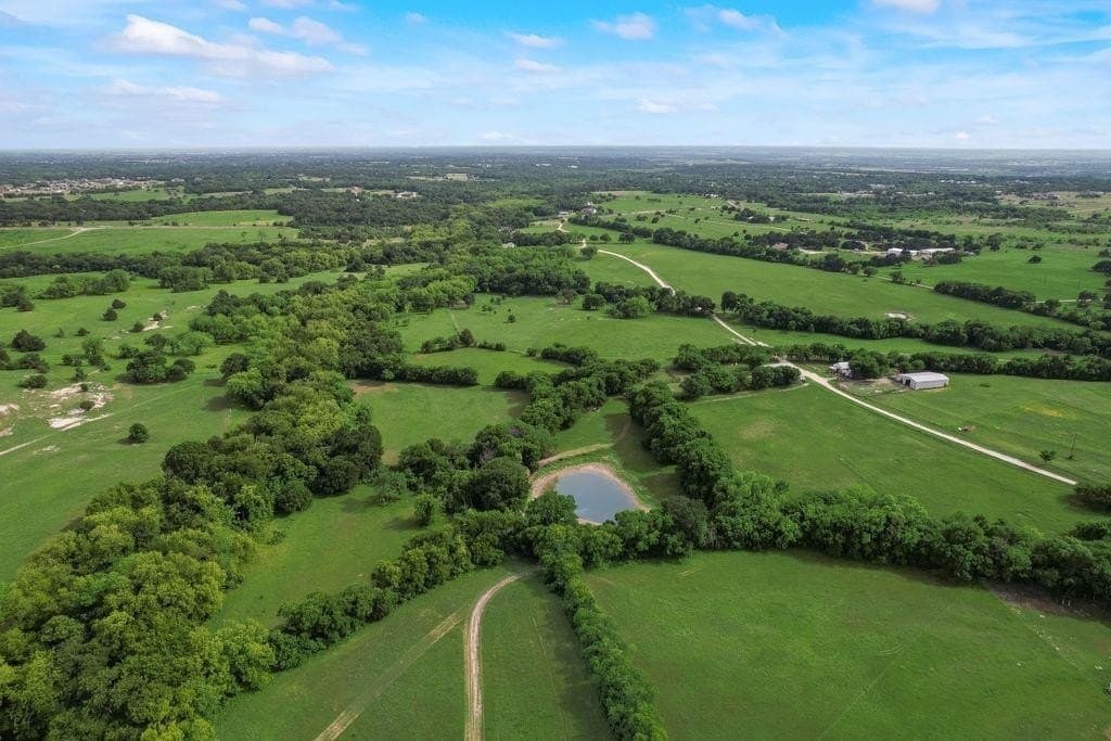 41 acres in Ellis County gallery image 2