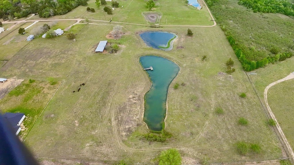 5 acres in Washington County gallery image 4