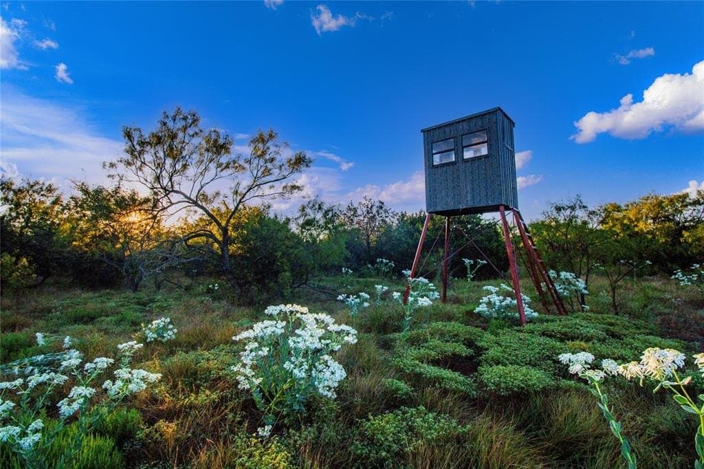 54.55 acres in Palo Pinto County gallery image 4