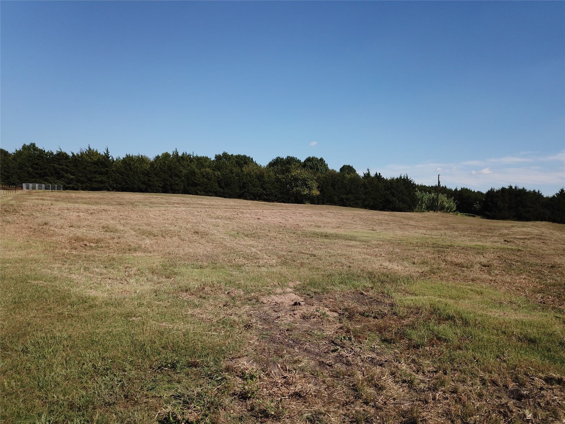 7.36 acres in Collin County - photo 6